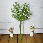 گل بوته شکوفه عروس